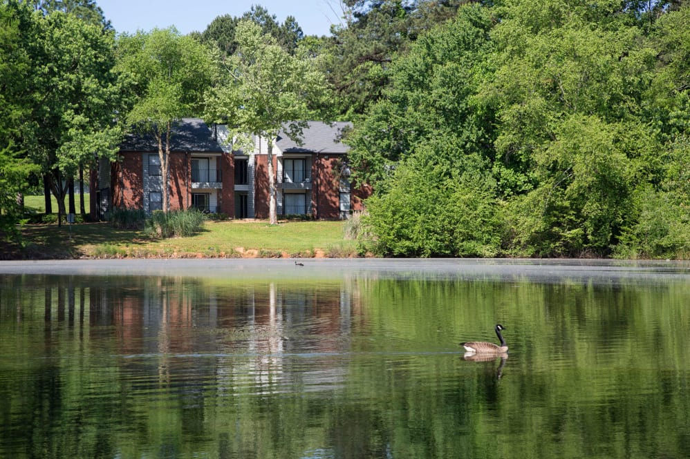 The Shores on Sweetwater Image 22