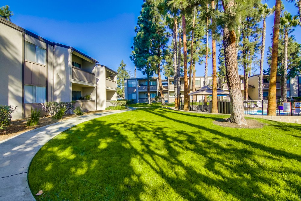 Shasta Lane Image 6