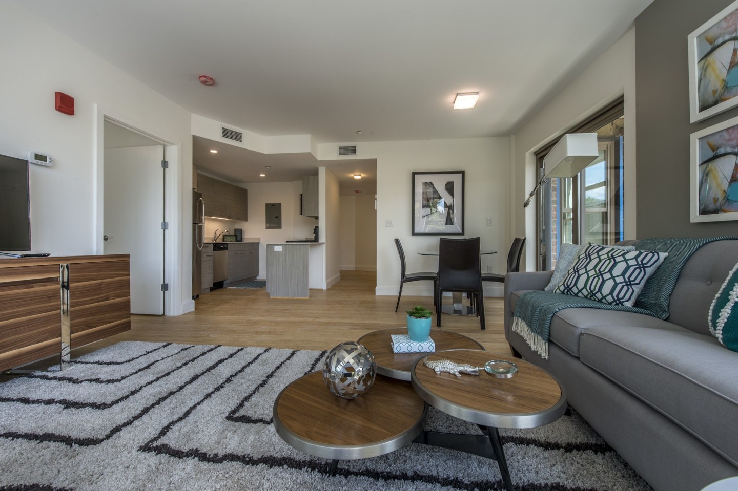 40 Malvern Street Apartments Image 4