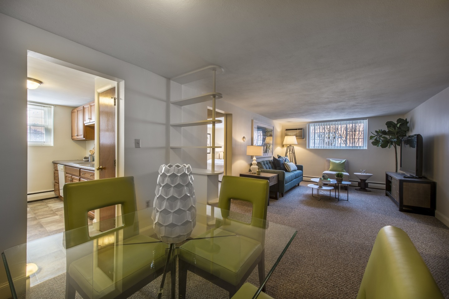 Brattle Drive Image 6