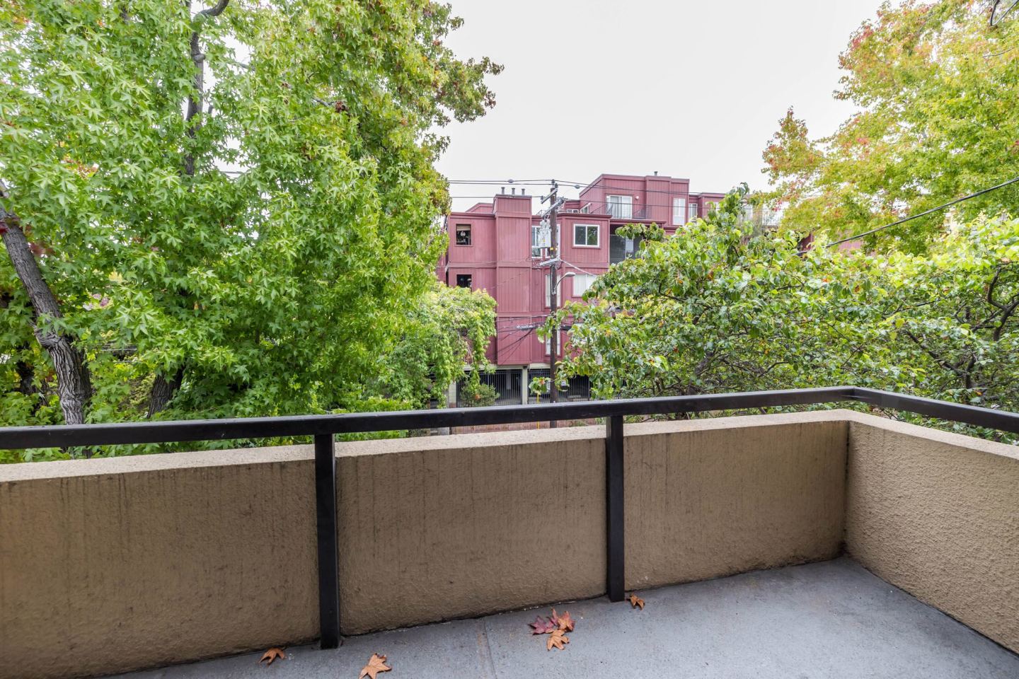 115 Moss Avenue Image 24