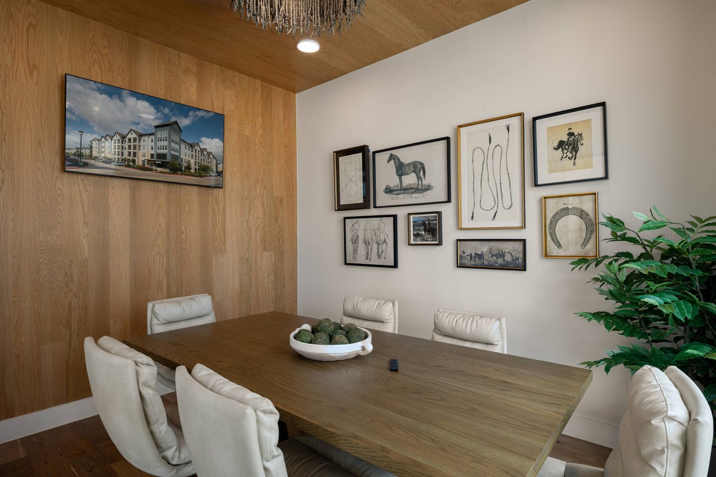 Livano Pflugerville Image 26