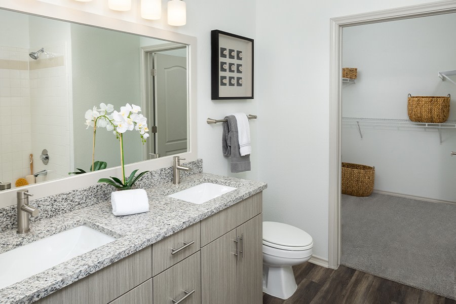 The Madison Apartments Image 3