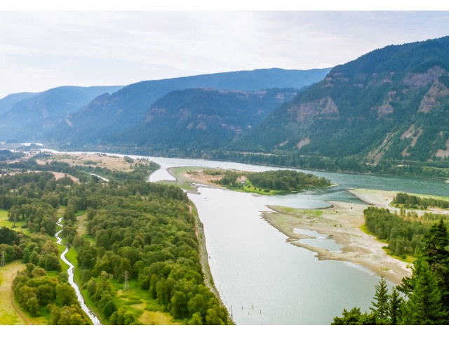 Avana Evergreen Image 23