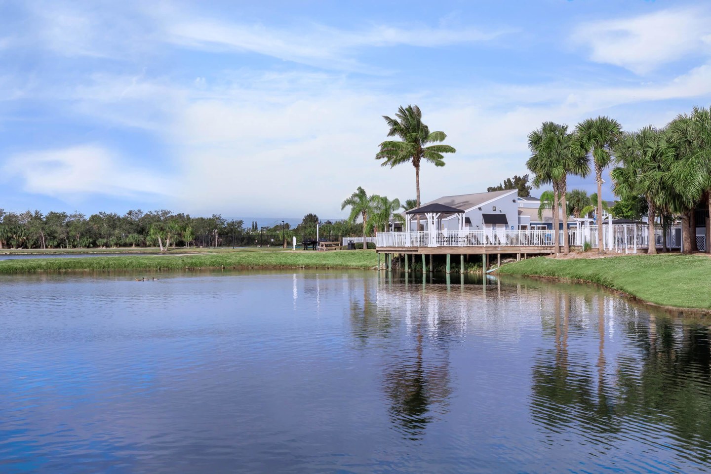 Fountain Lake Bradenton Image 72