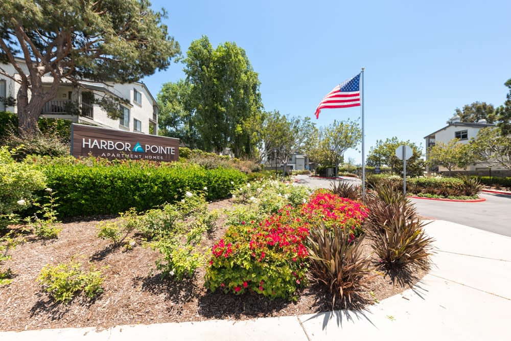 Harbor Pointe Apartments Image 10
