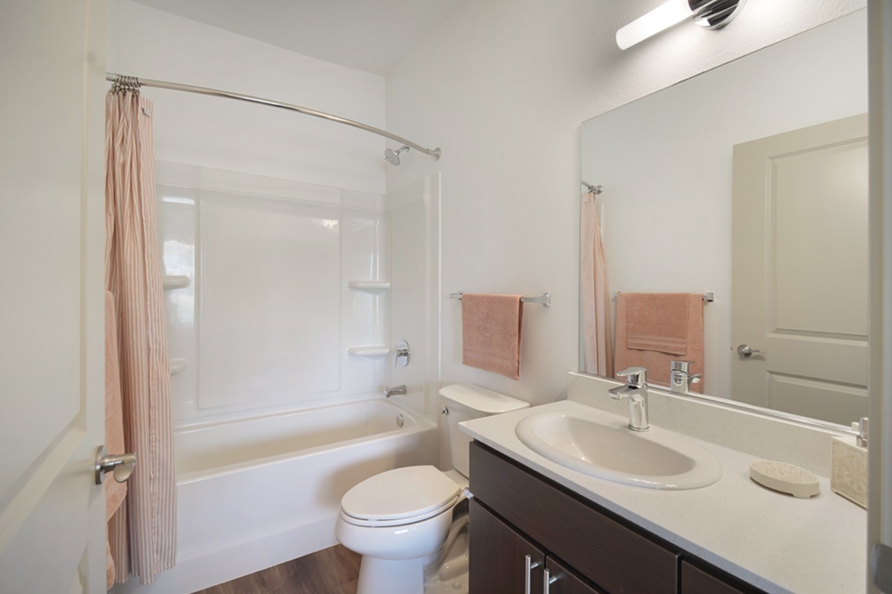 59 Evergreen Image 28