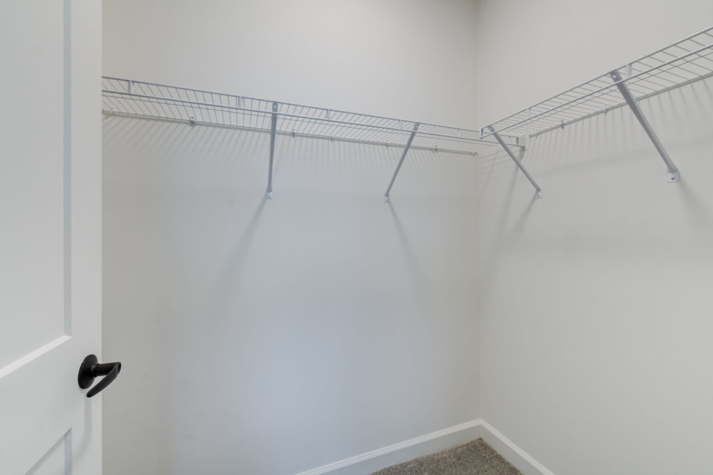 Taryn at 401 Image 23