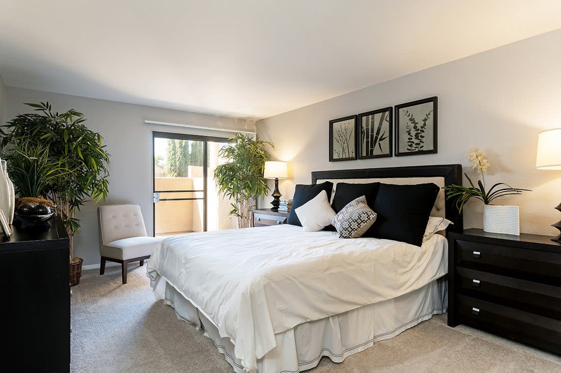 The Casas Image 20