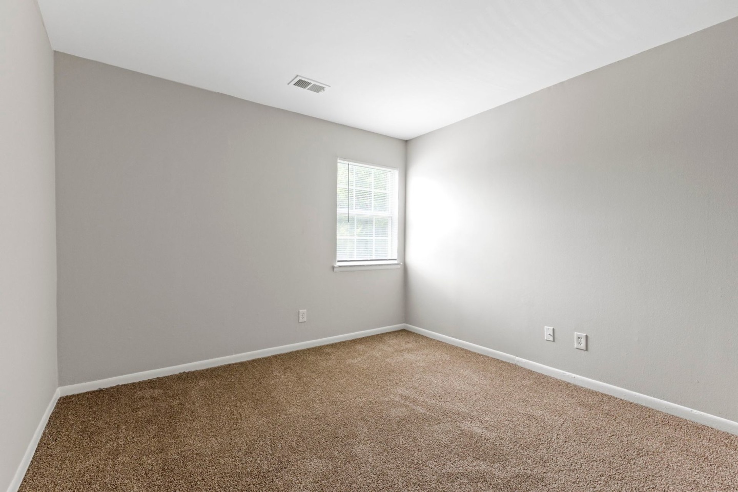 Fields Image 12