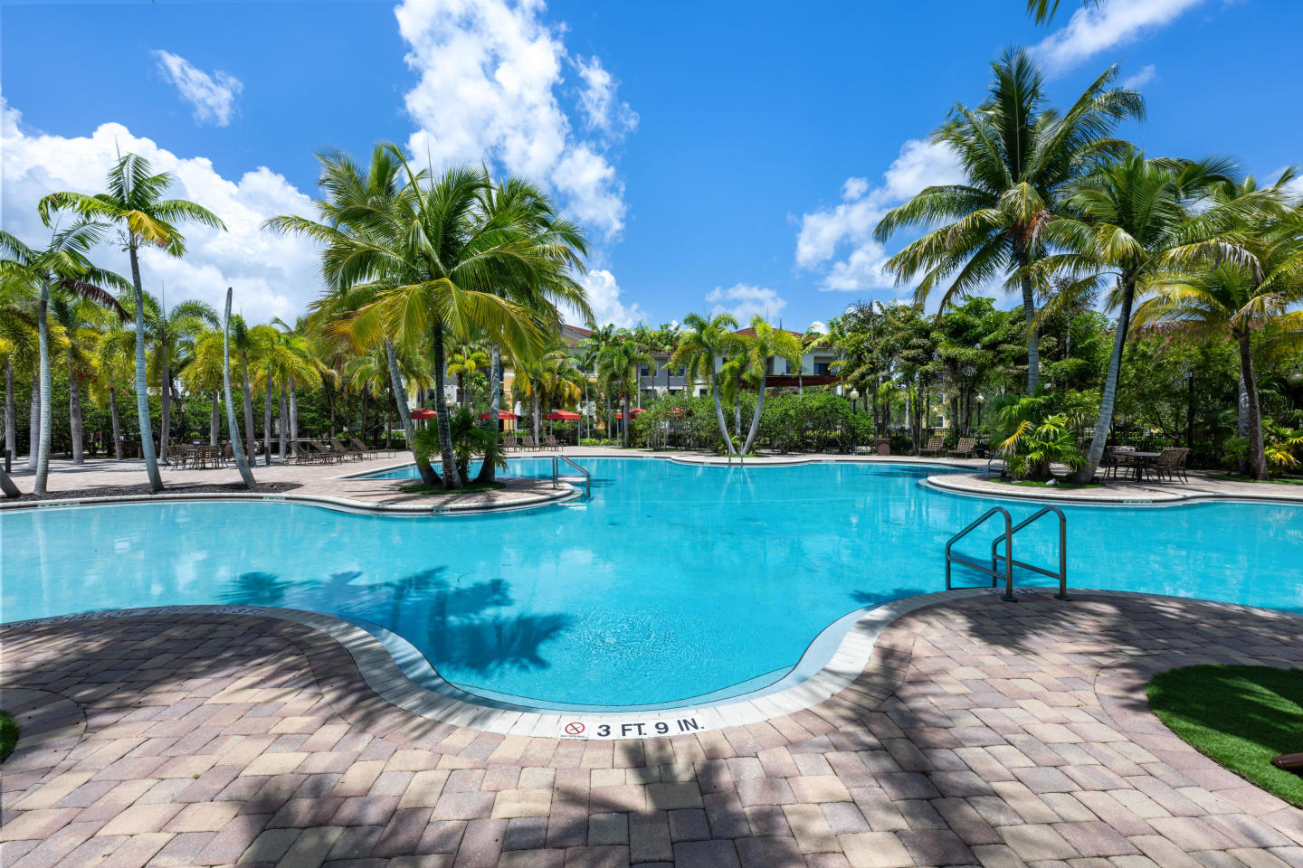 10X Sawgrass Image 3