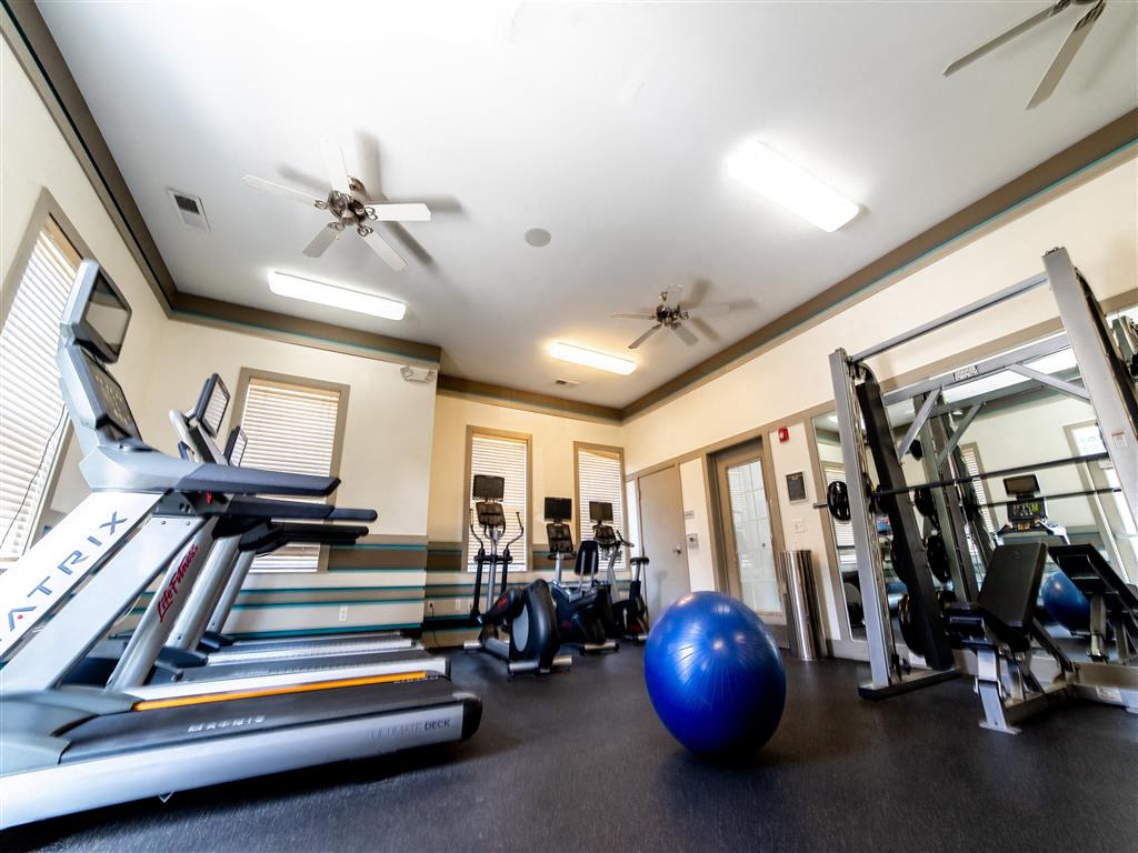 Monon Living Image 53