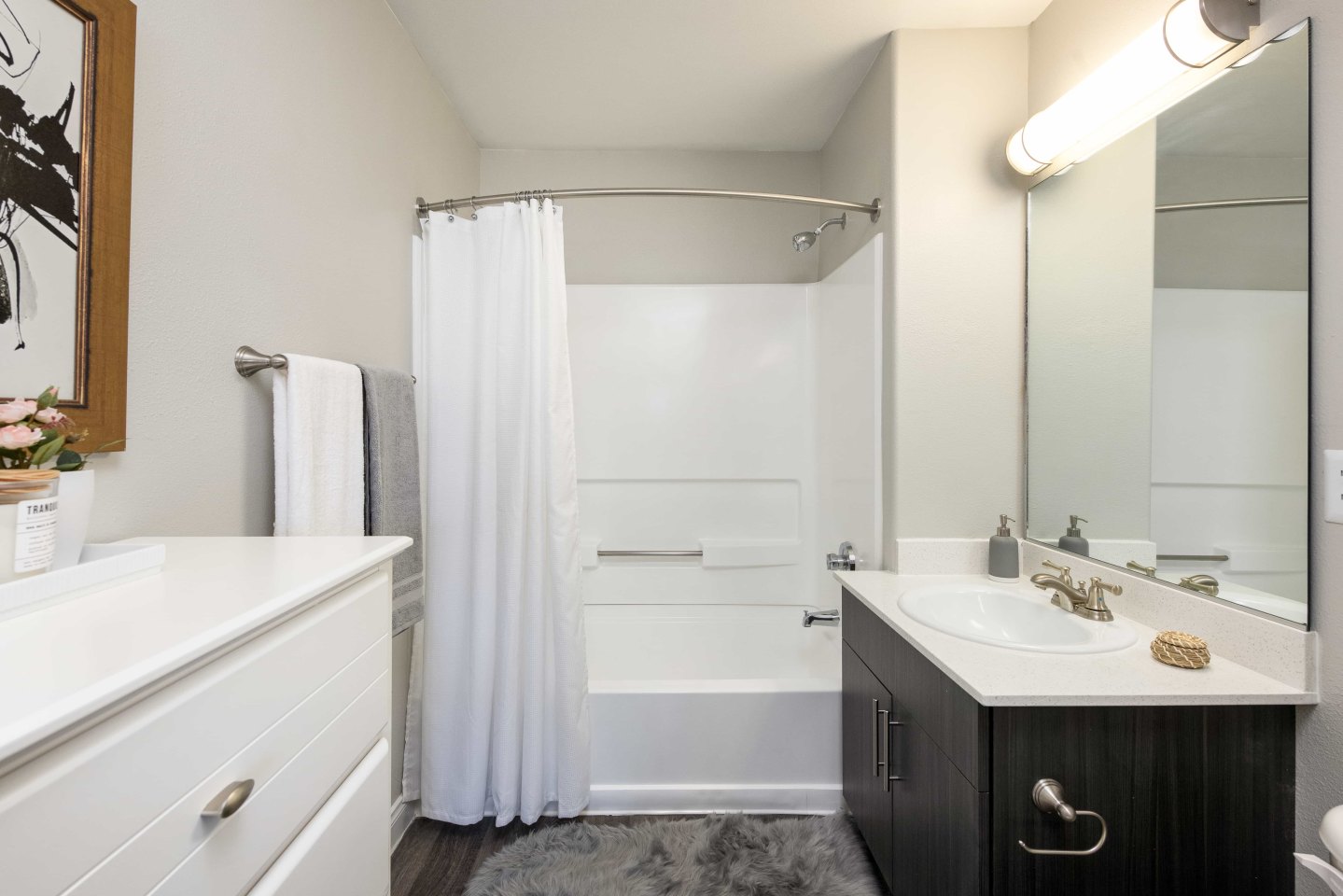Amara Spring Valley Apartments Image 15