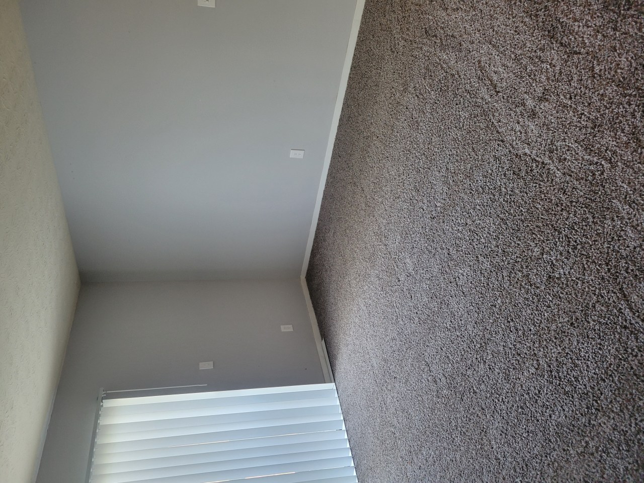 High Park Apartments Image 17