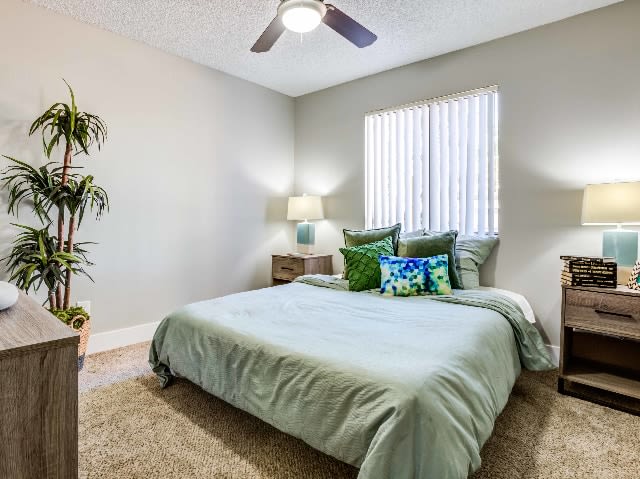 Avana Tempe Image 12