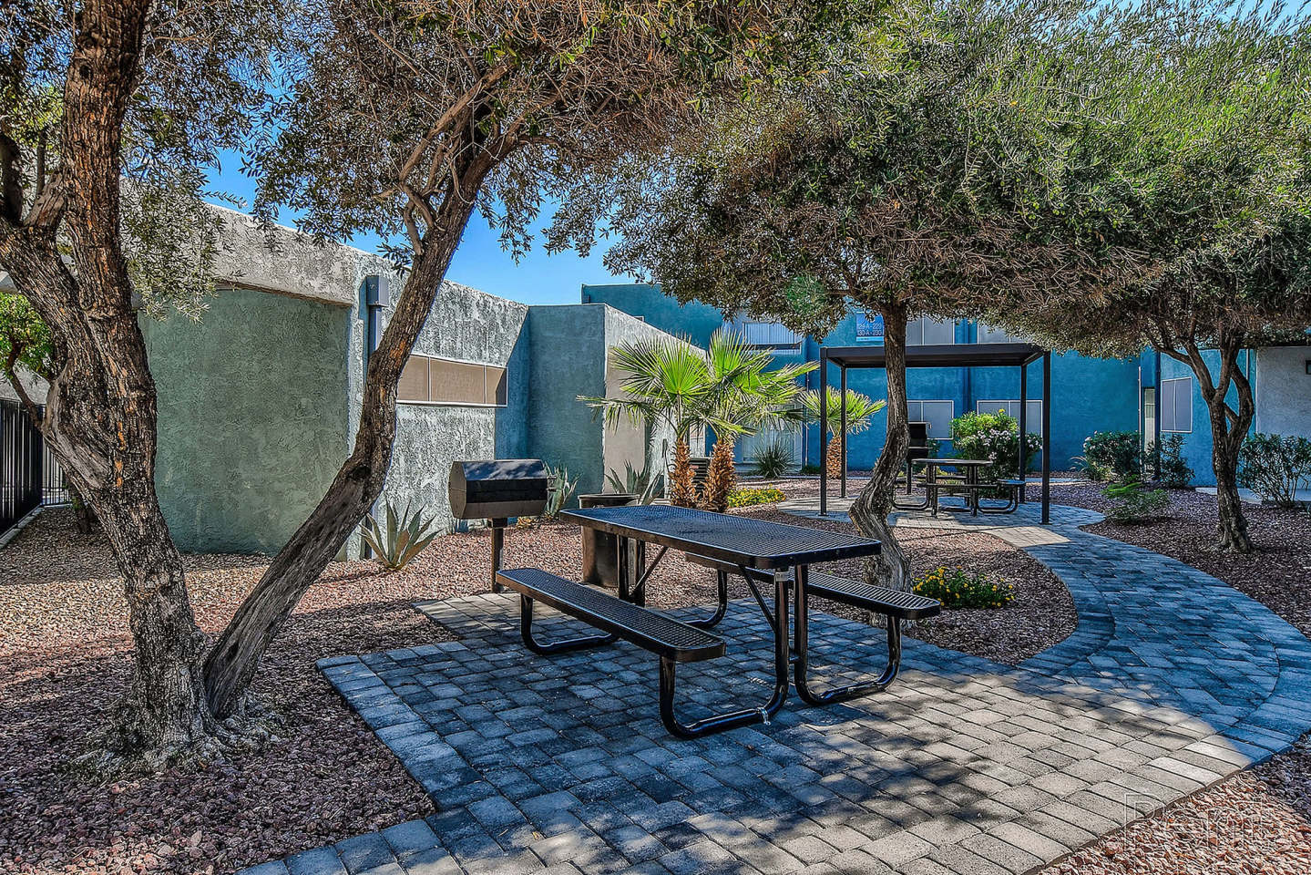 Viva Apartments Image 13