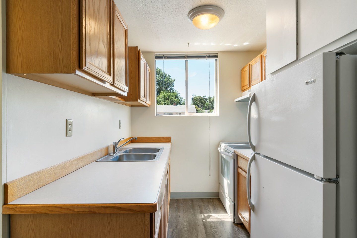 Dolphin Apartments Image 10