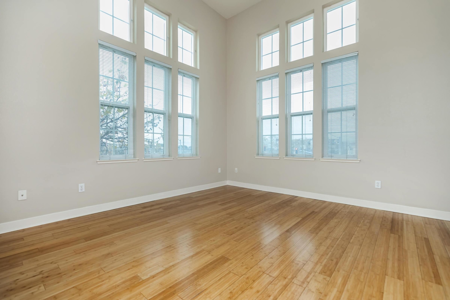 Oak Walk Image 9