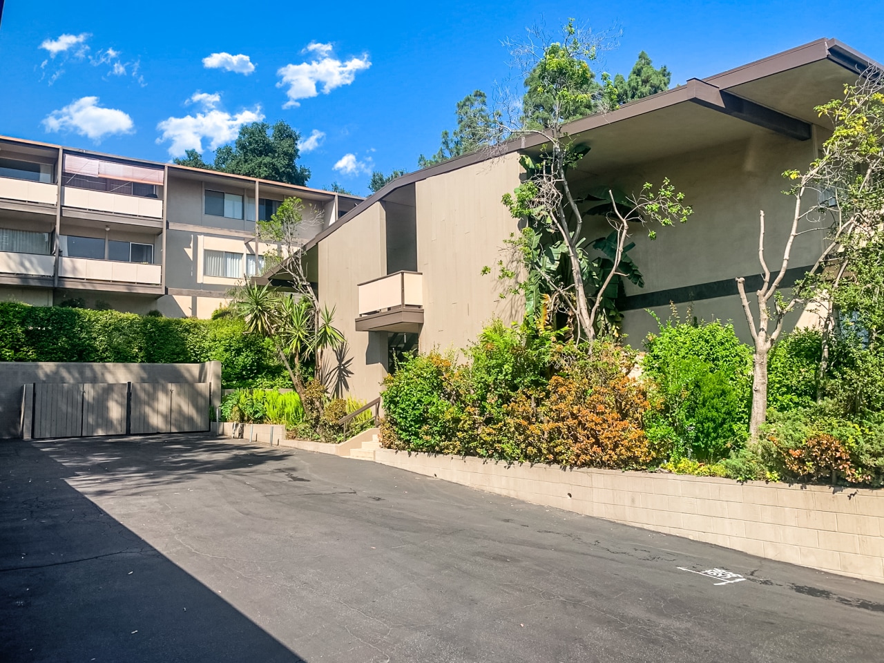 Annandale Terrace Image 19