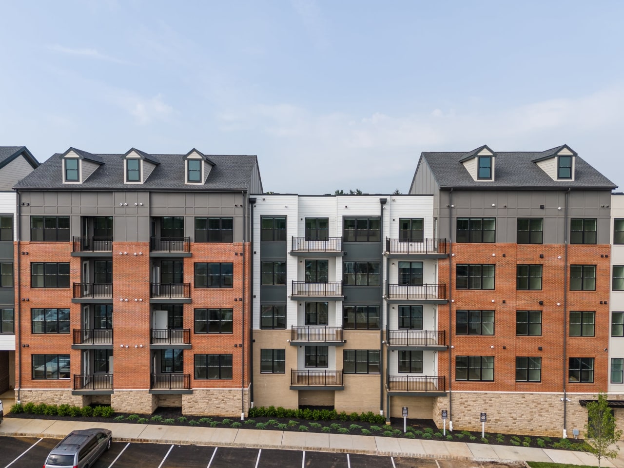 Aster Grove Image 60