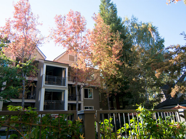 Park Central Apartments Image 14