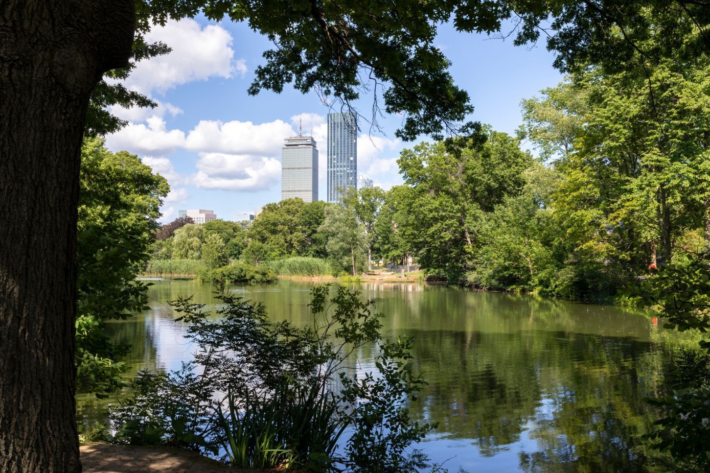 CityView at Longwood Image 77