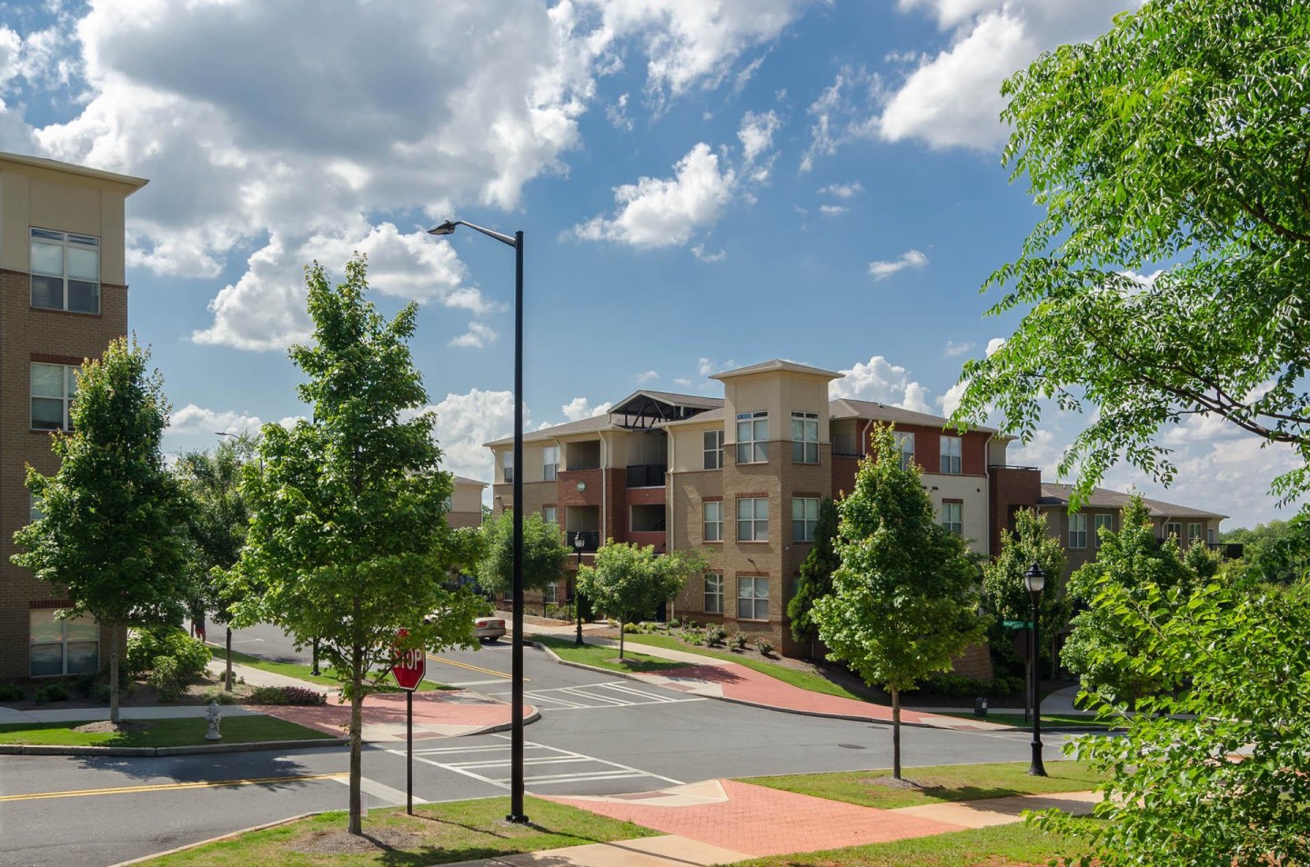 Ashley Collegetown Image 28