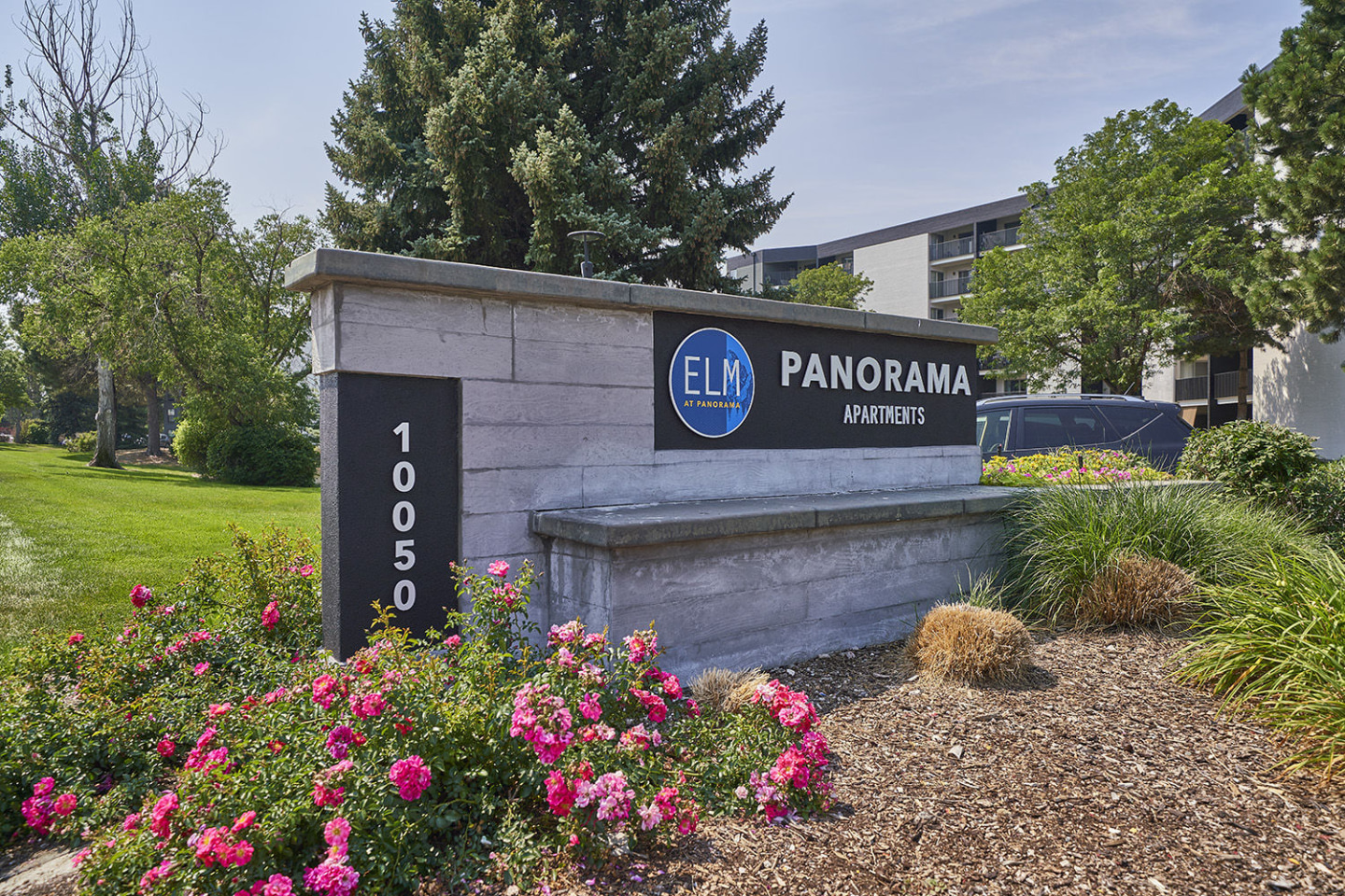 Elm at Panorama Image 22