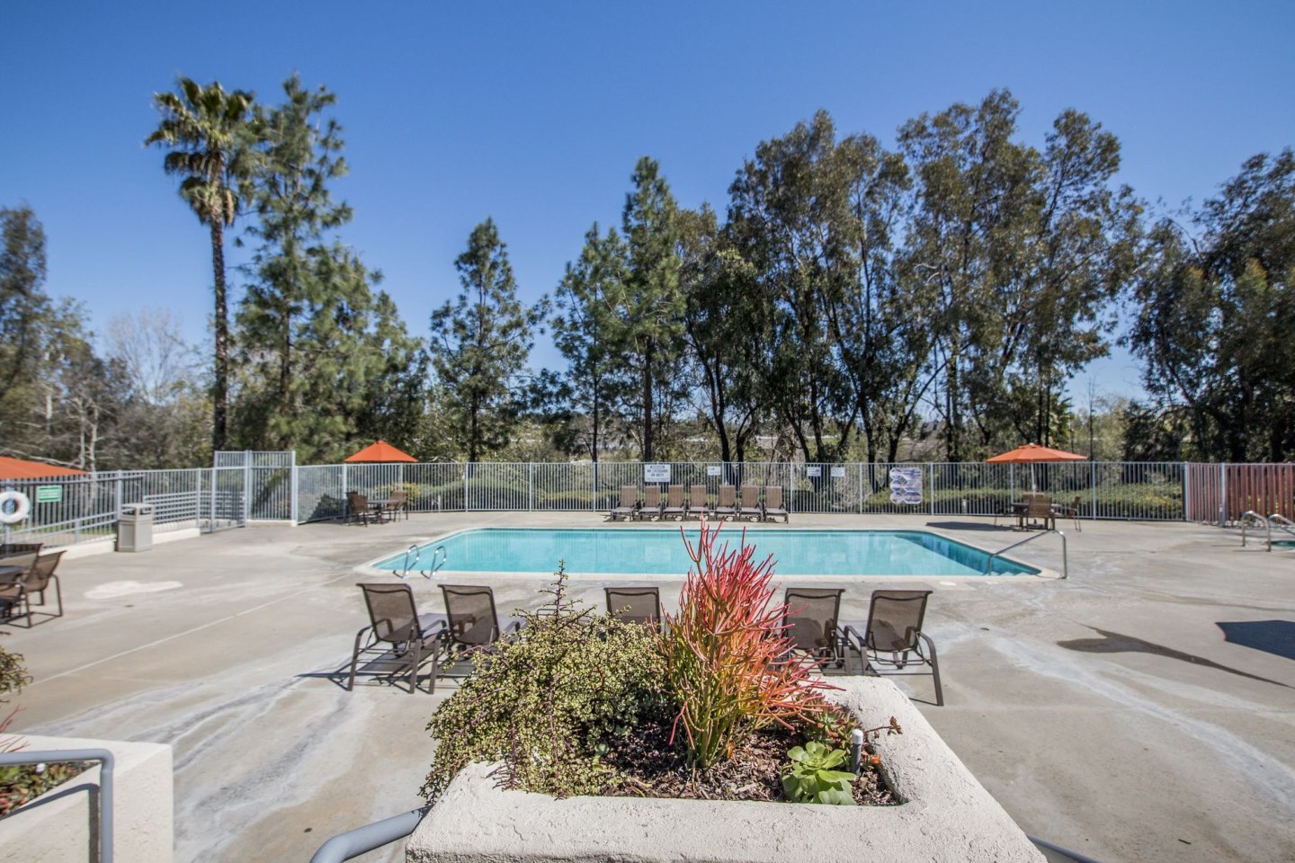 Reidy Creek Apartments Image 5