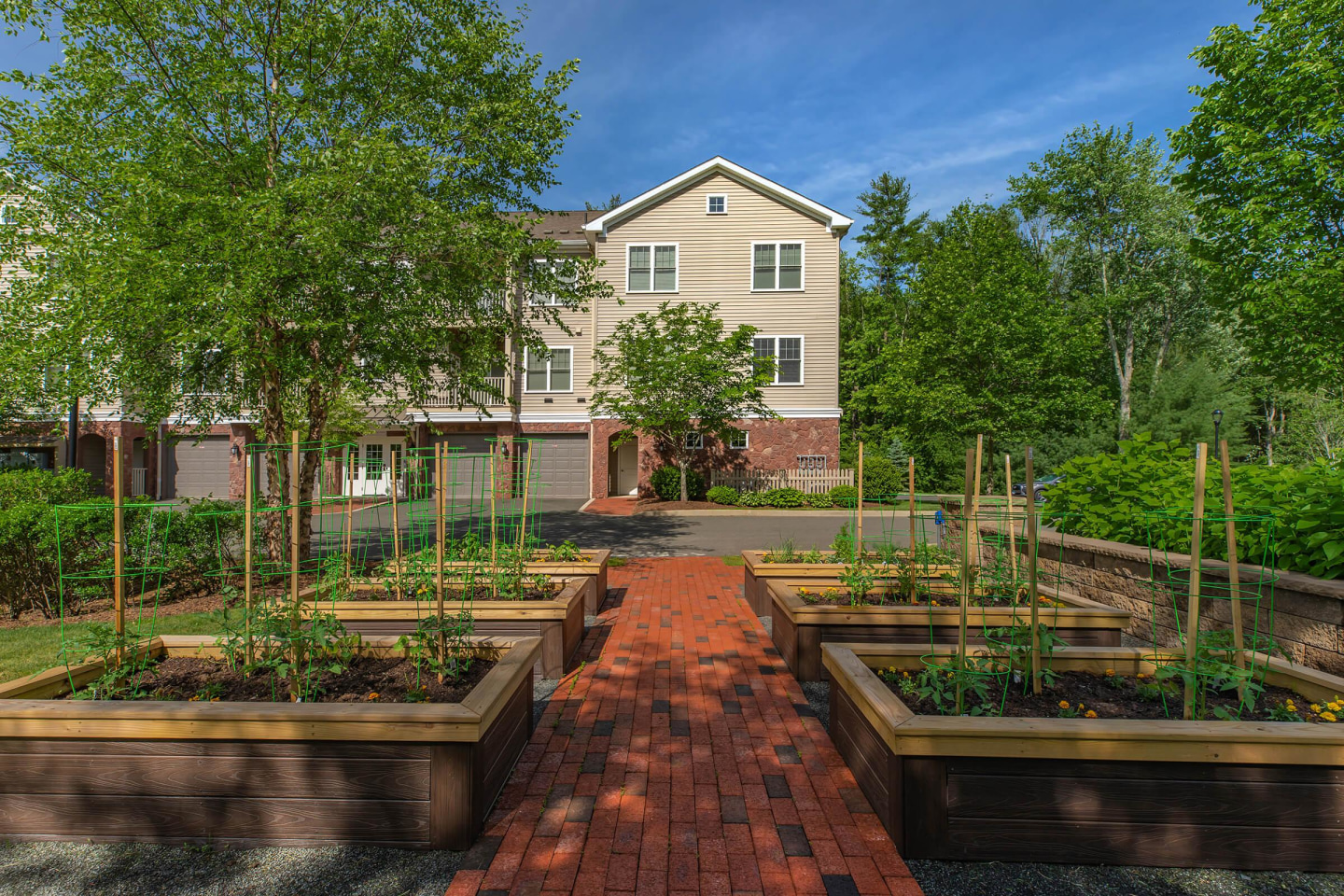 Mill Commons Image 15
