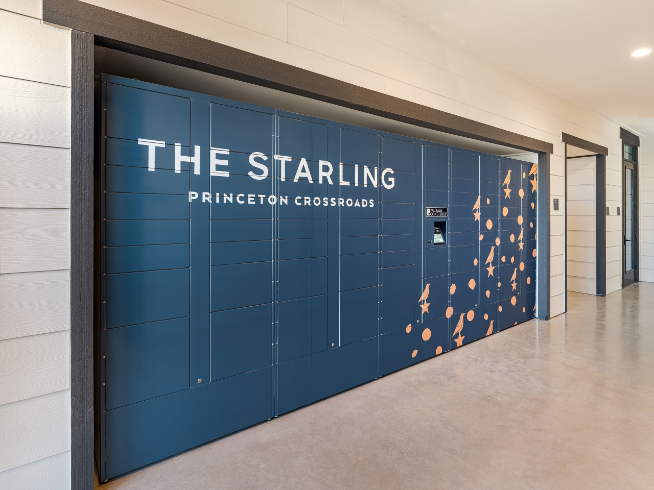 The Starling Image 28