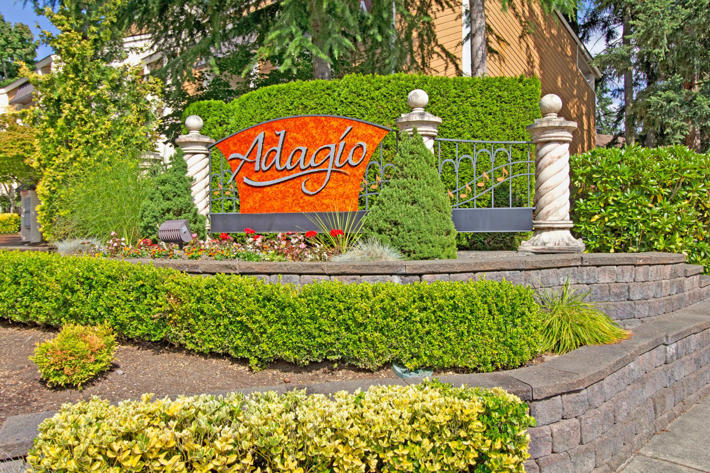 Adagio Image 15
