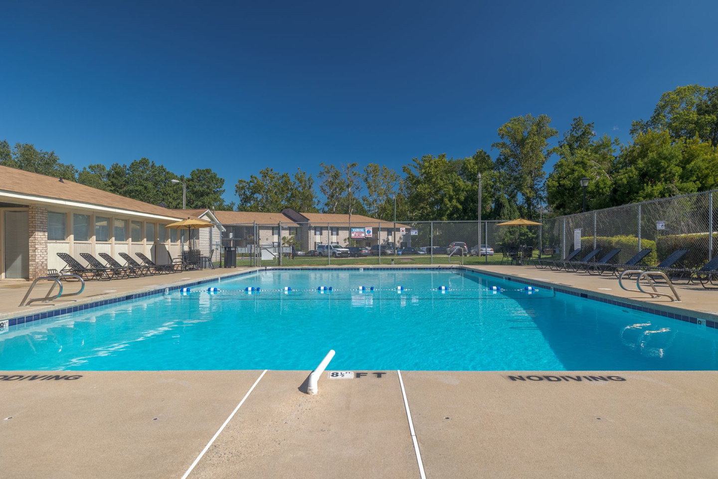 Arlington Apartments Image 9