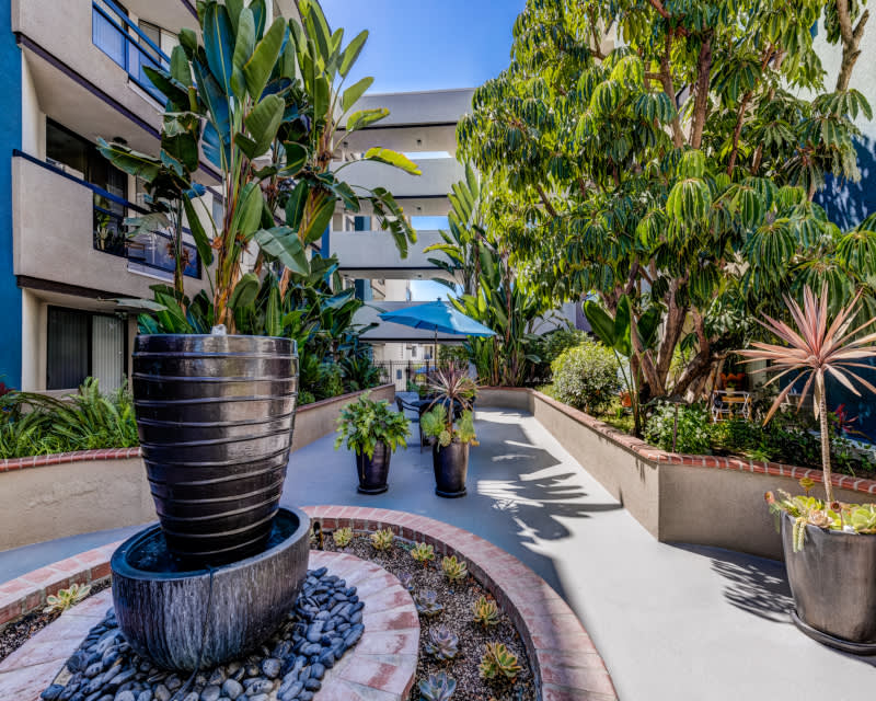 Palm Court Apartments Image 36