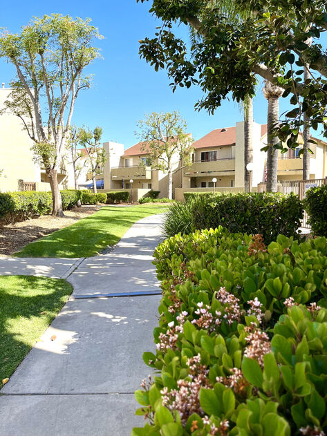Peppertree Image 9
