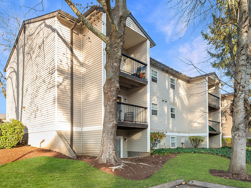 COHO138 Image 32