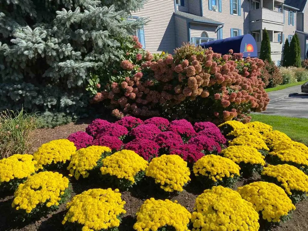 Sunset Ridge Apartments Image 18