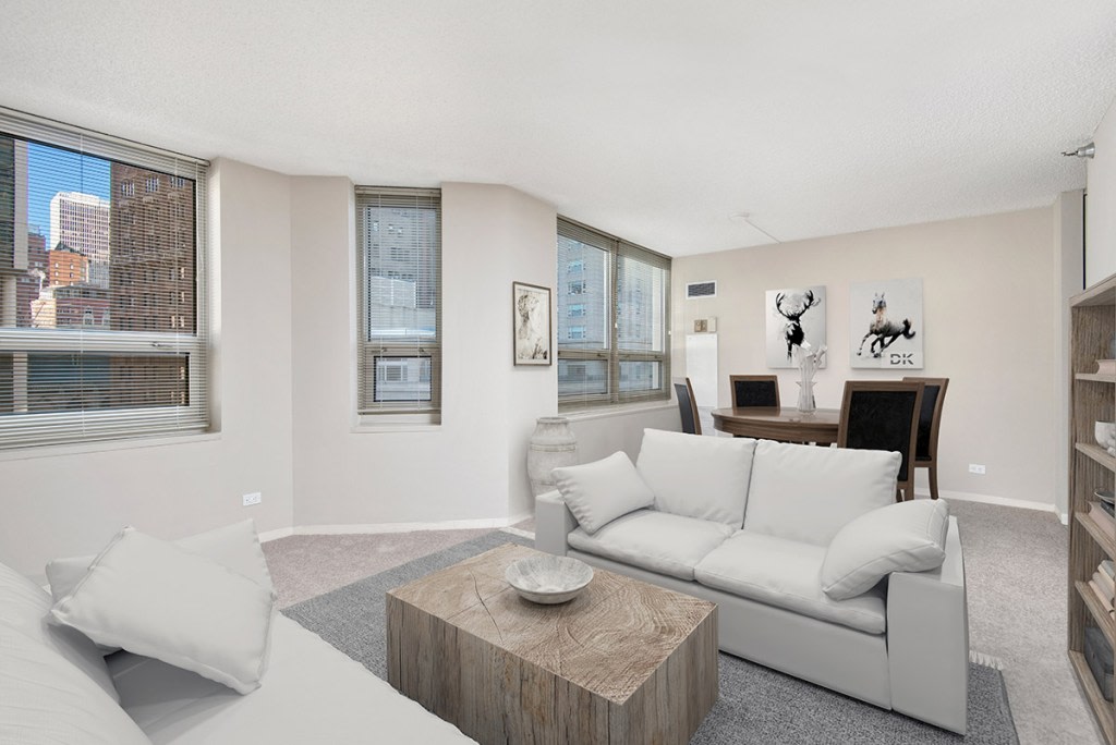 750 N. Rush Image 12