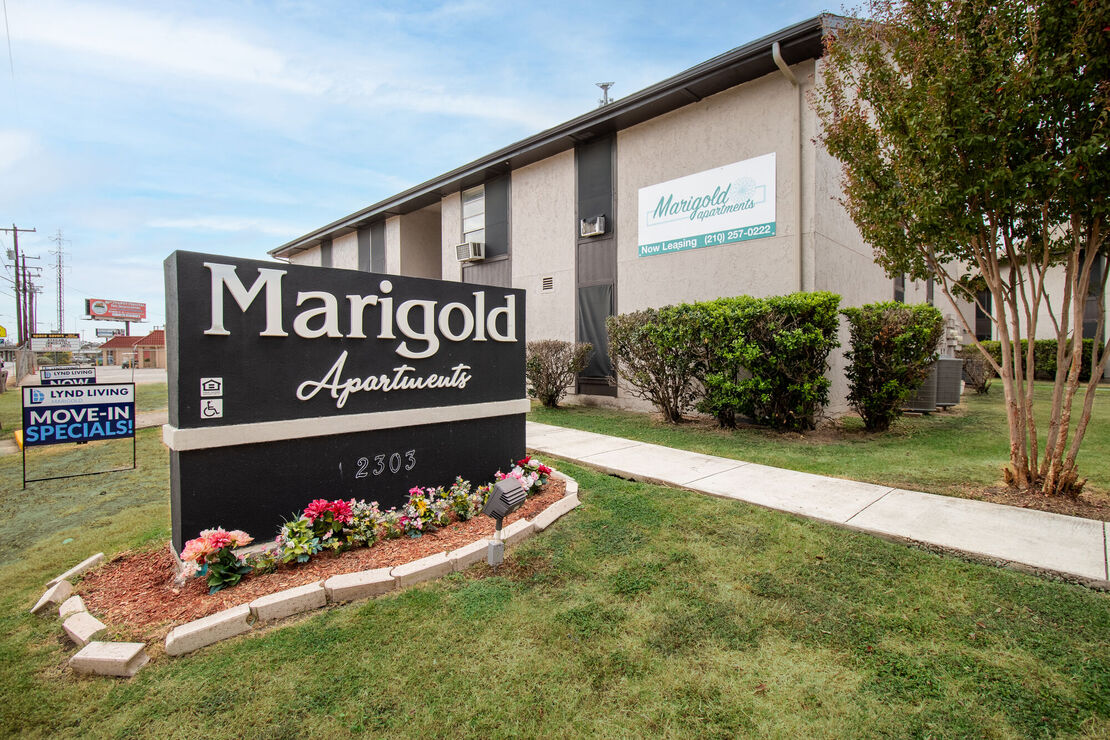 Marigold Apartments Image 13