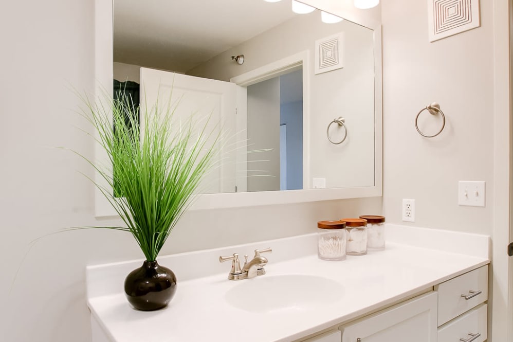 Loring Park Apartments Image 7