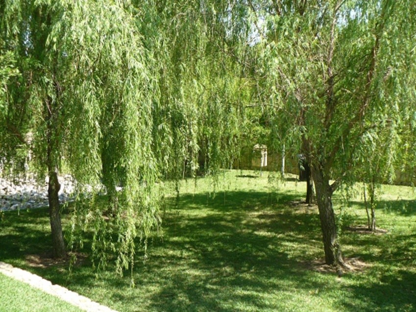 Spicewood Crossing Image 14