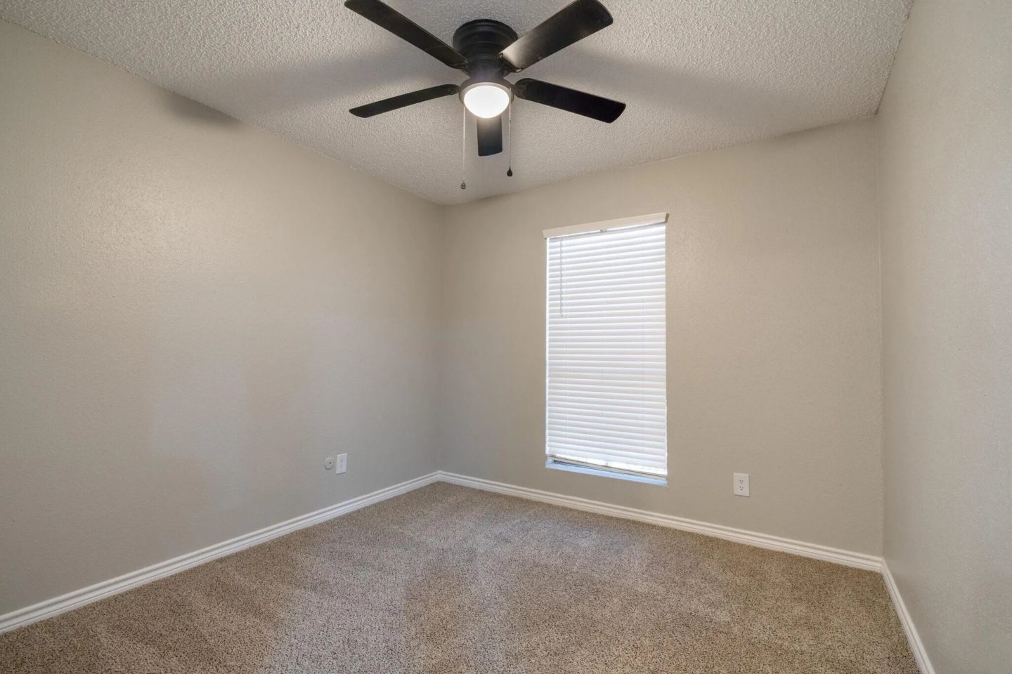 Skylar Pointe Image 9