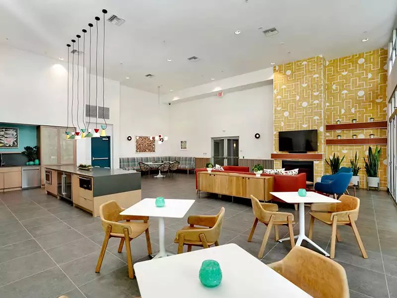 The Oasis Image 18