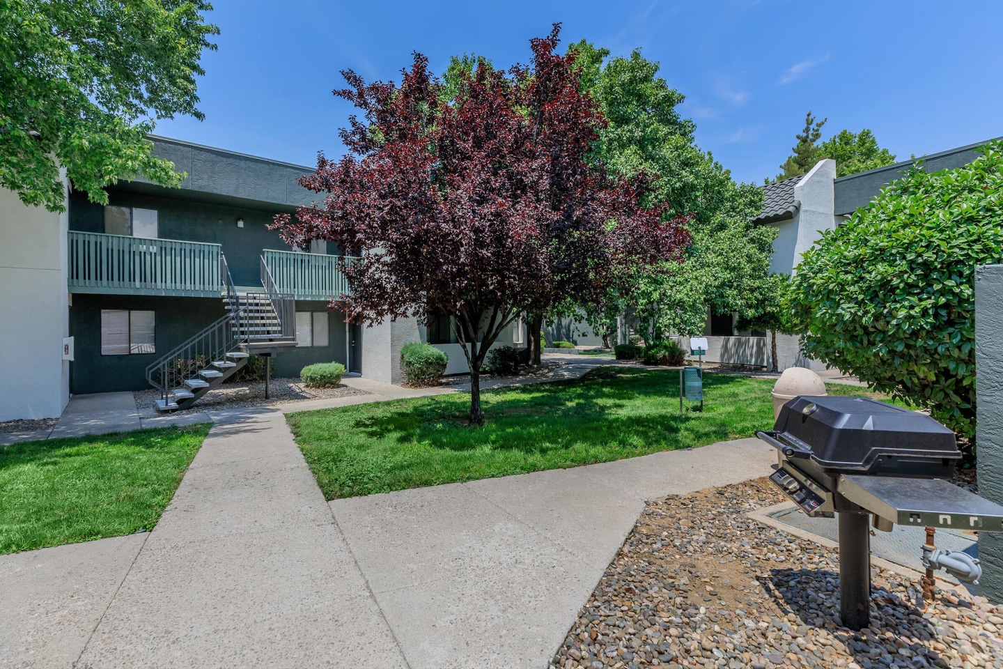 Treehouse Apartments Image 53