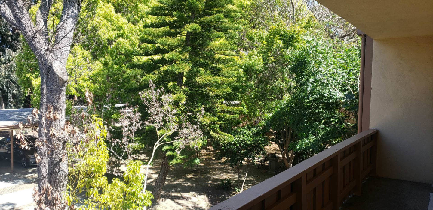 Stanford Garden Image 23