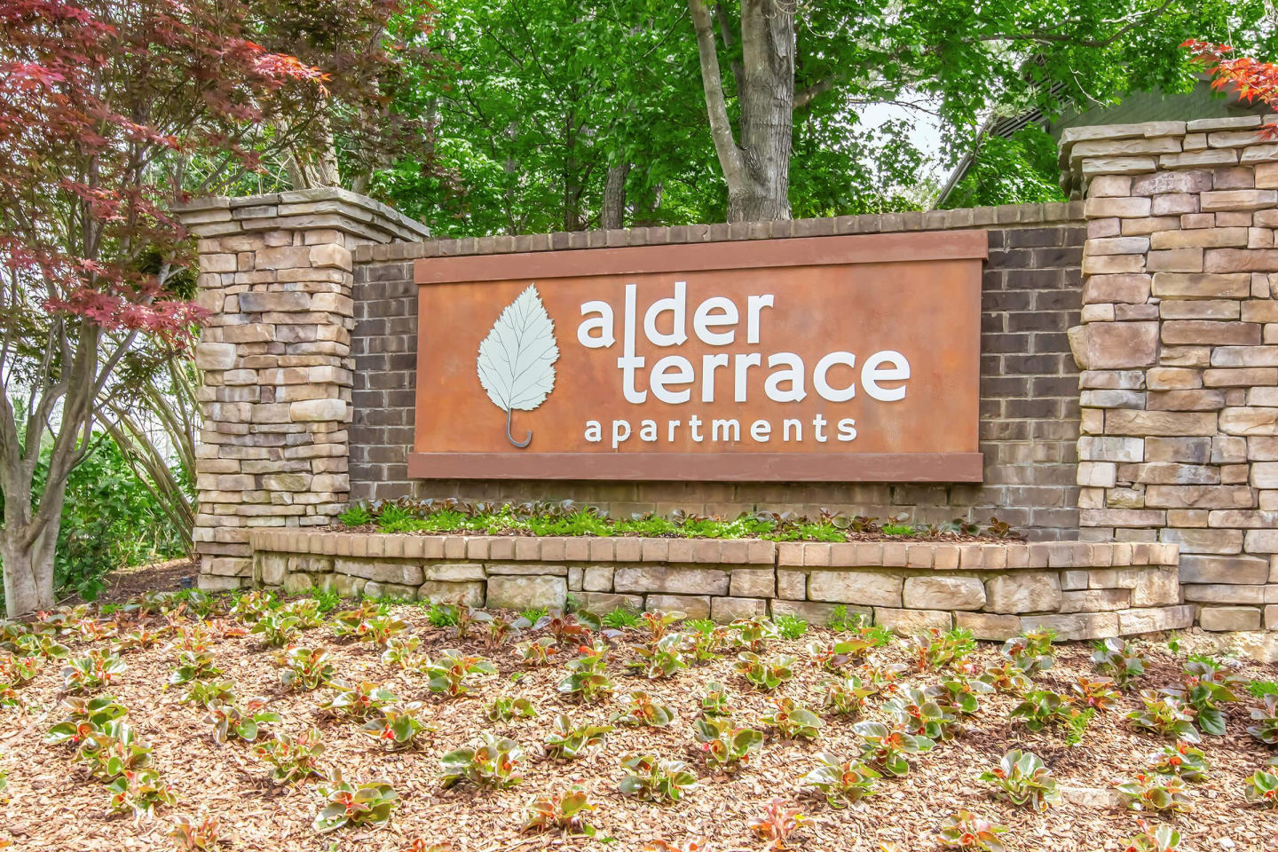 Alder Terrace Image 80