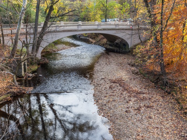 Harvard Village Image 80