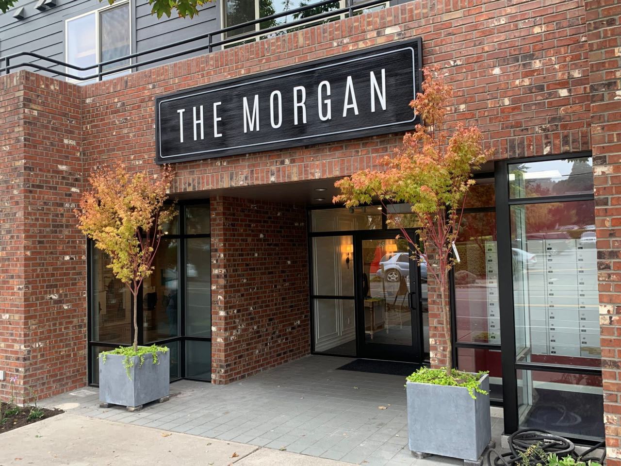 The Morgan Image 11