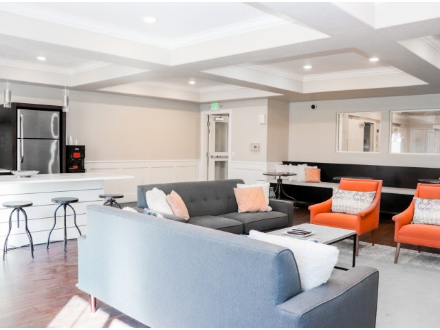 The Mercer Image 37