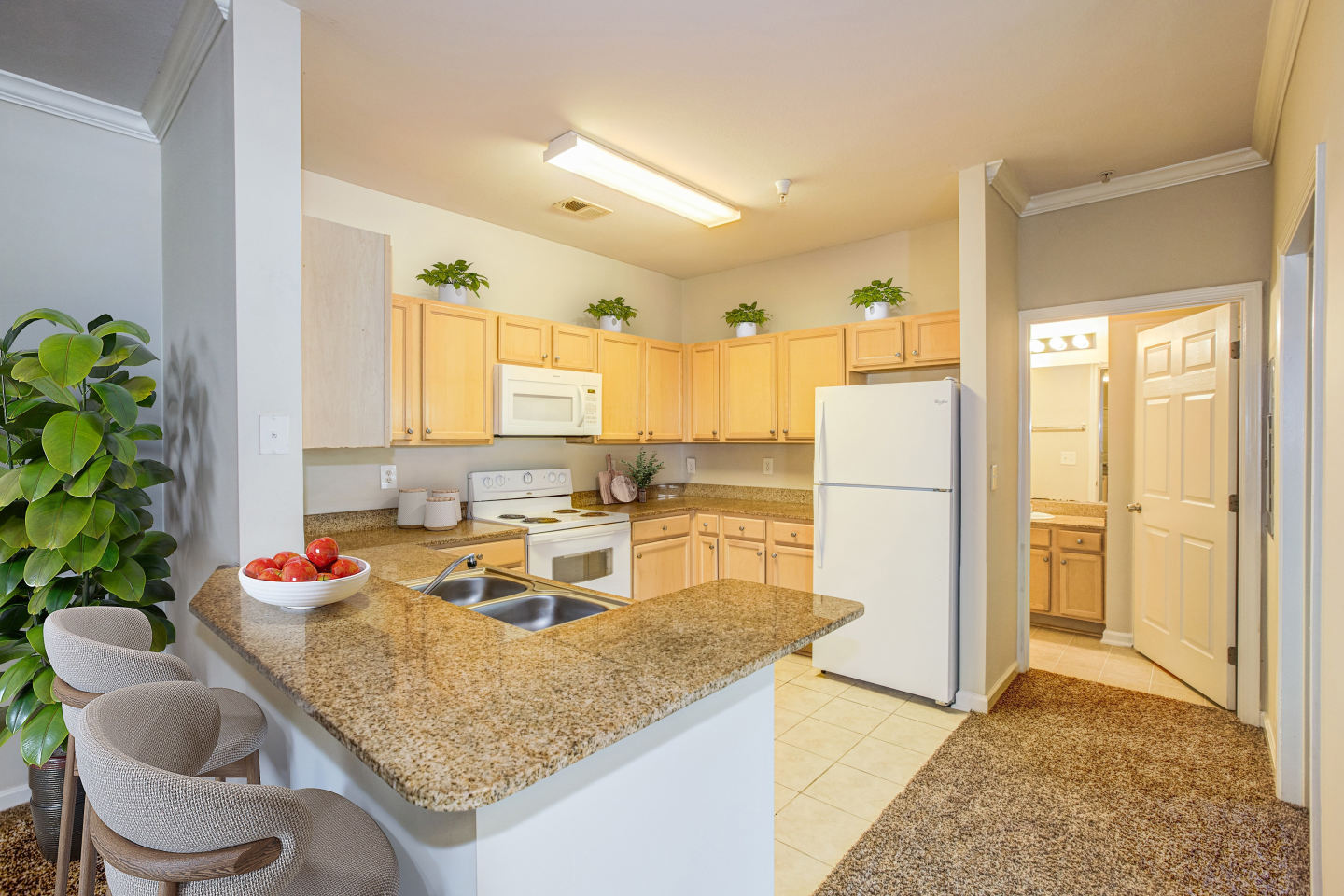 Village on the Lake Apartments Image 1